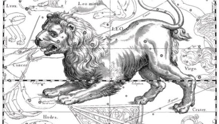 10 idei de tatuaje pentru cei nascuti in zodia leu
