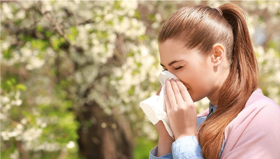 Remedii naturale pentru alergii sezoniere